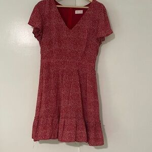 Pink Lily Scarlet Floral Mini Dress